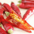Chili Red Chili Seced Peppers para restaurante de marihuana